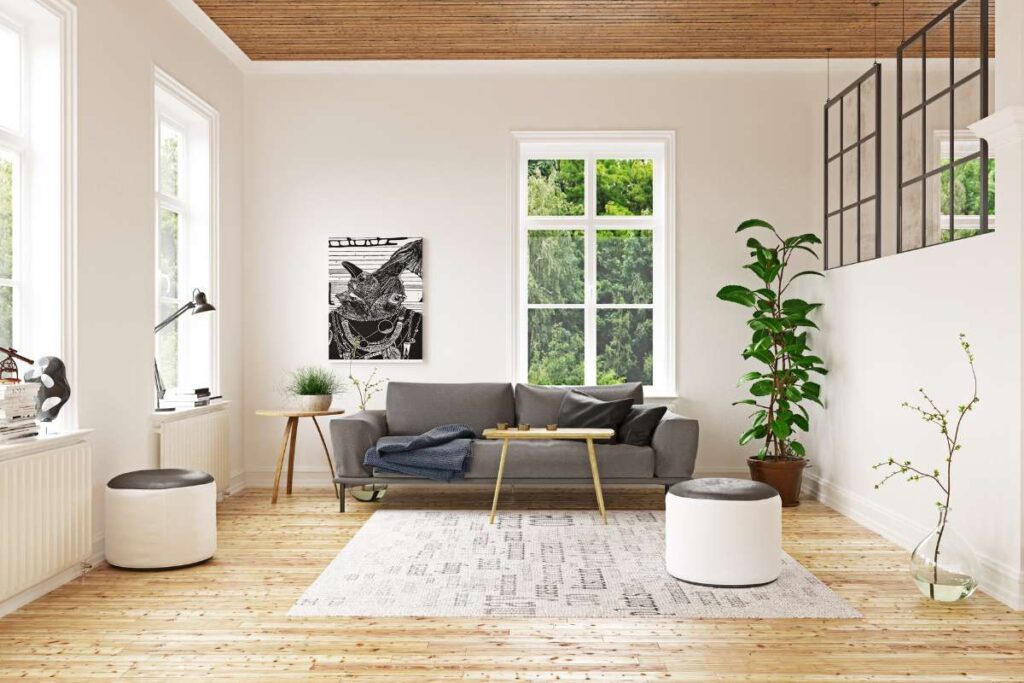 Scandinavian living room